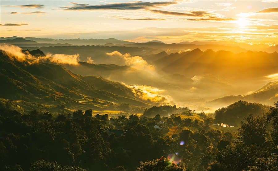 日落森林风景图片样例